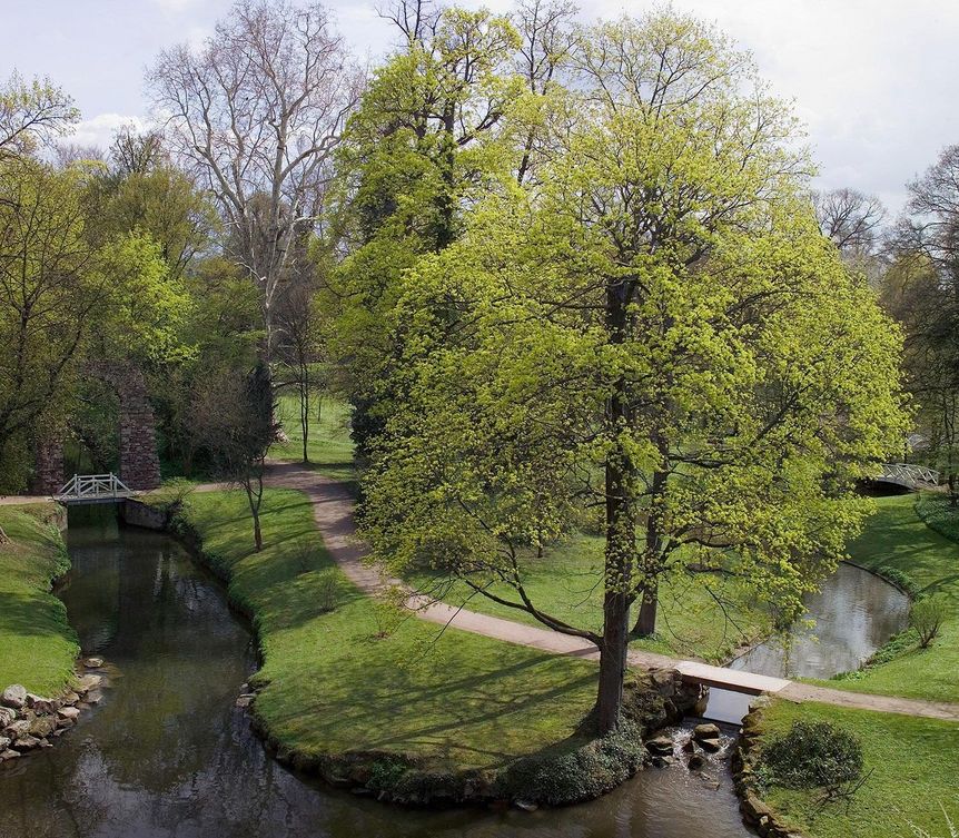 Schloss und Schlossgarten Schwetzingen, Garten