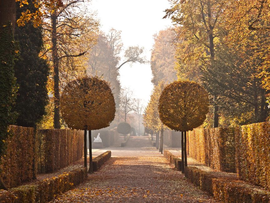 Herbststimmung im Schwetzinger Schlossgarten